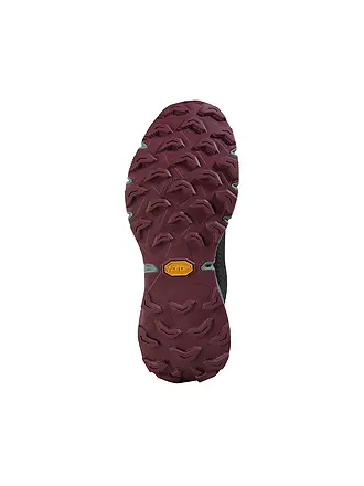DYNAFIT | Chaussures de trail pour femmes Ultra 100 GTX | blau